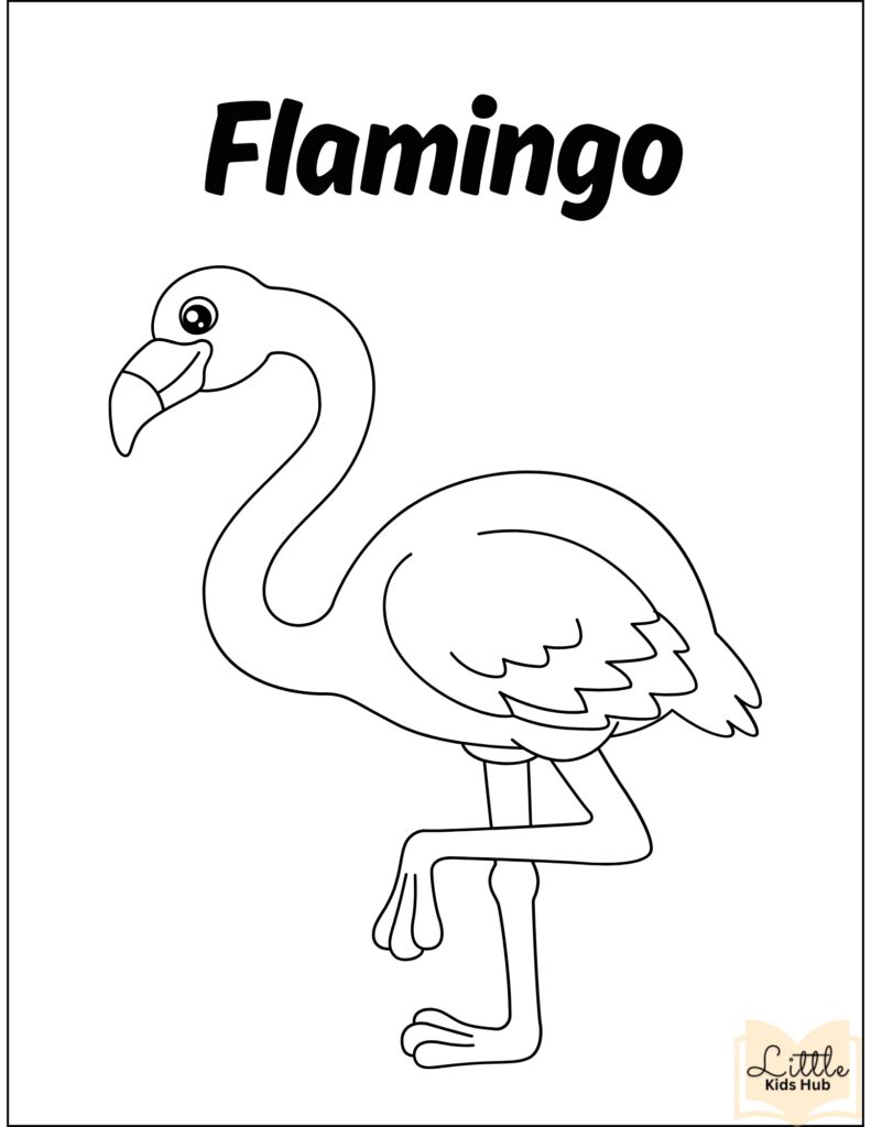 flamingo zoo animal coloring pages