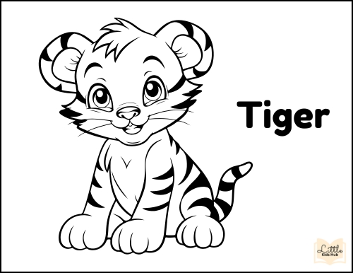 tiger zoo animal coloring pages