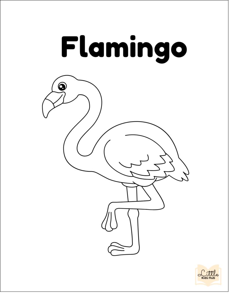 zoo animal coloring pages