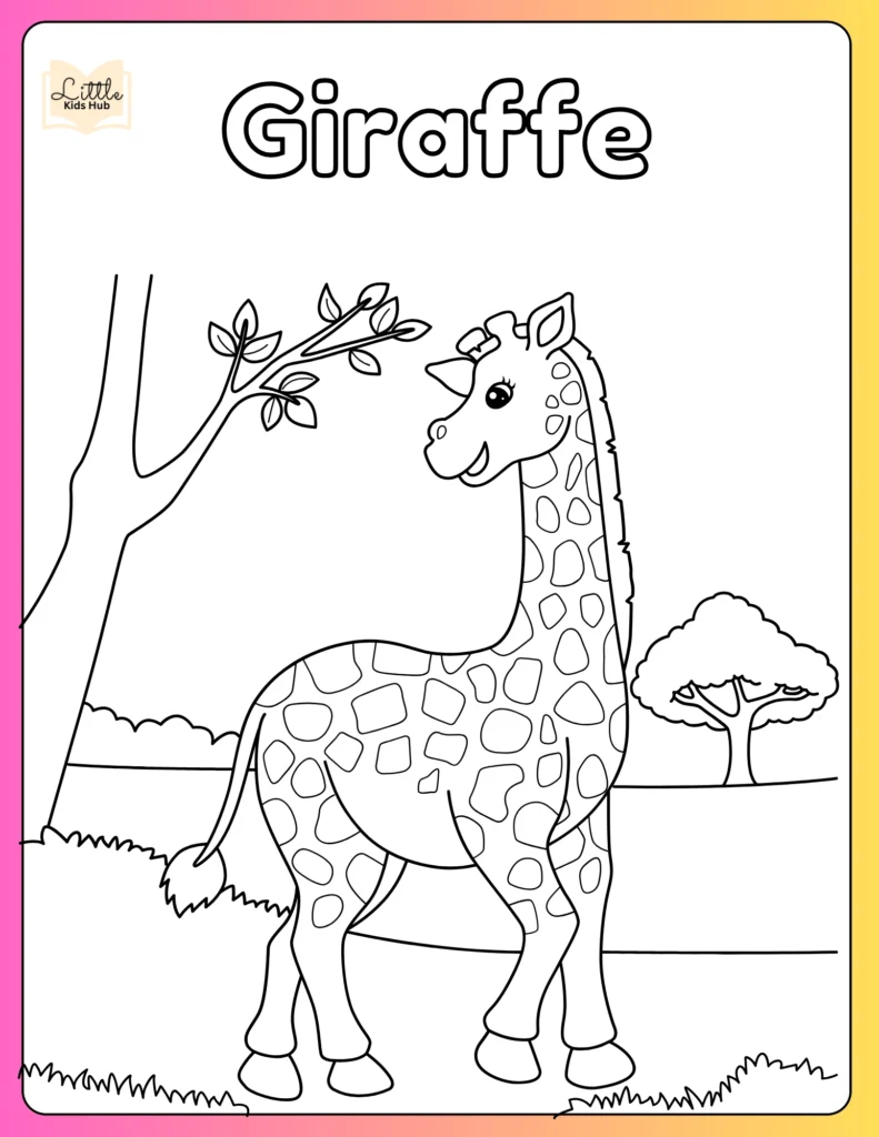 Adult Giraffe Eating From Tree To Color